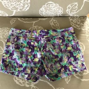 Calvin Klein Short Shorts NWOT Watercolors